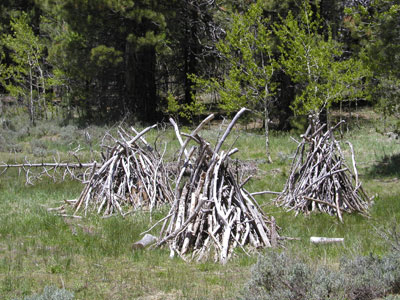 hwoodteepees.jpg