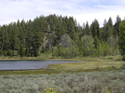 mshaverlake.jpg