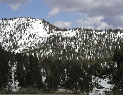 incline.jpg