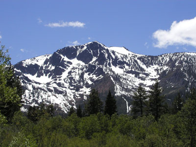 msnow.jpg