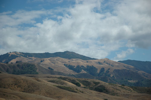 DSC_0001.jpg
