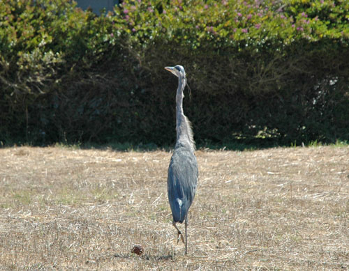 DSC_0006.jpg