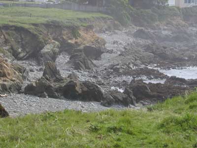 d_rockyshore.jpg