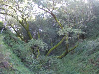 P1010007.jpg