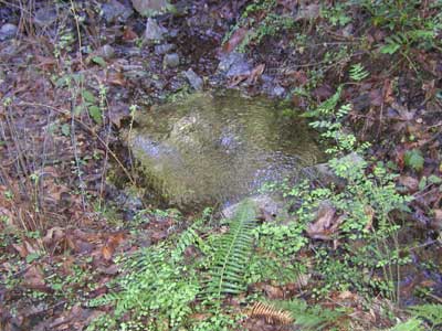 P1010028.jpg