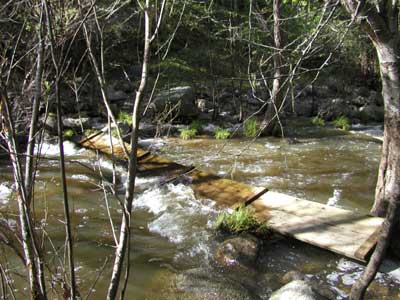 P1010035.jpg