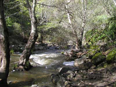P1010036.jpg