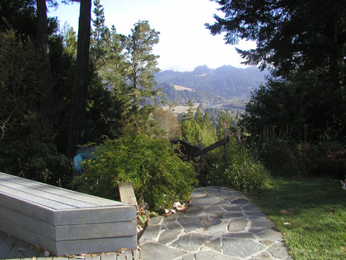 P1010008.jpg