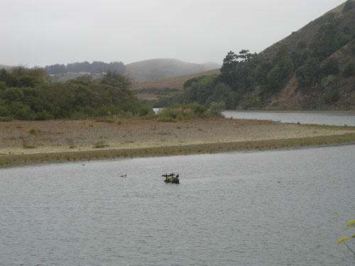 P1010007.jpg