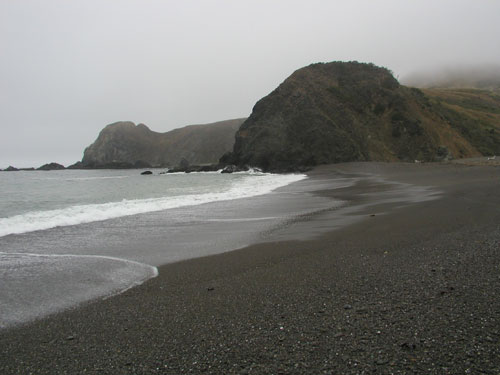 P1010021.jpg