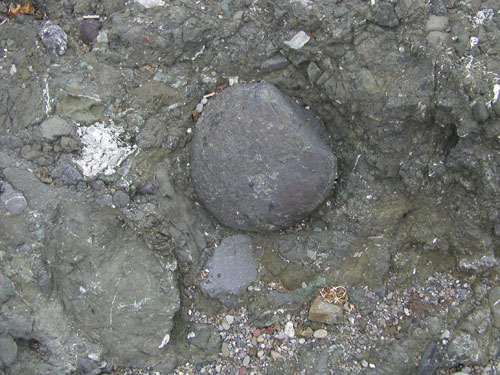 P1010023.jpg