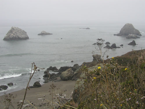 P1010027.jpg
