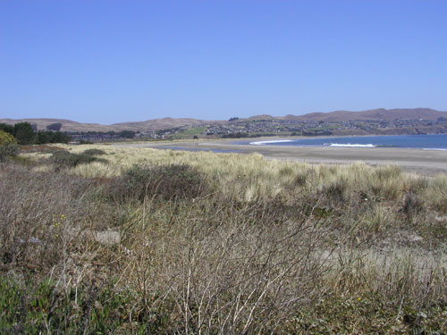P1010005.jpg