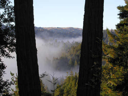 P1010006.jpg