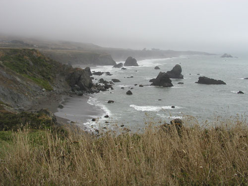 P1010020.jpg
