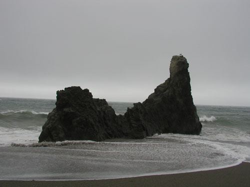 P1010026.jpg