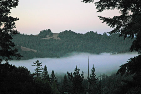 DSC_0001b.jpg
