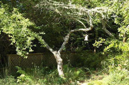 DSC_0004.jpg