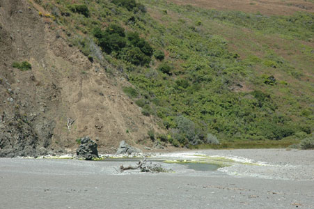 DSC_0023.jpg