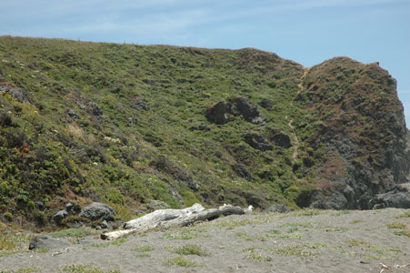 DSC_0067.jpg