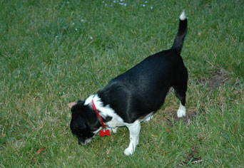 DSC_0009.jpg