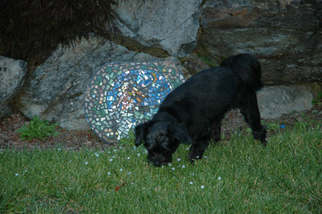DSC_0012.jpg
