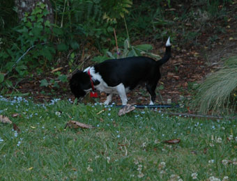 DSC_0020.jpg