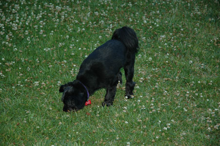 DSC_0024.jpg