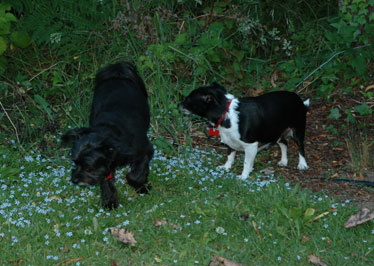 DSC_0029.jpg
