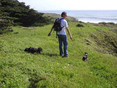 p_ollie&dogs.jpg