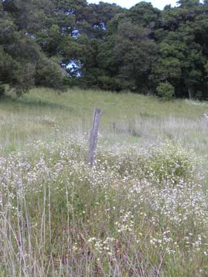 P1010029.jpg